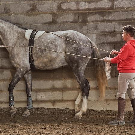 Az.Agr. Il Cavalleggero Campiglia dʼOrcia エクステリア 写真