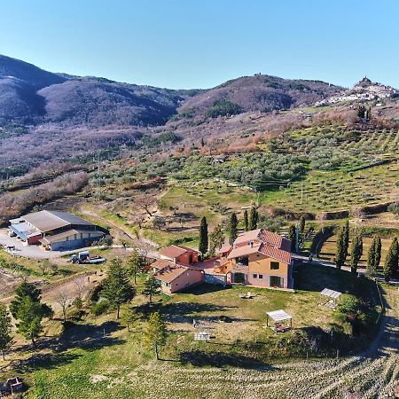 Az.Agr. Il Cavalleggero Campiglia dʼOrcia エクステリア 写真
