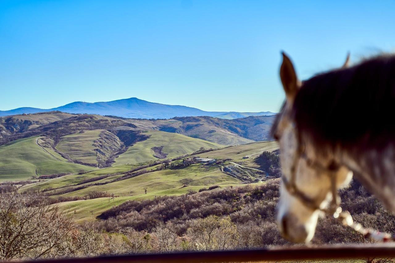 Campiglia dʼOrcia Az.Agr. Il Cavalleggeroヴィラ エクステリア 写真