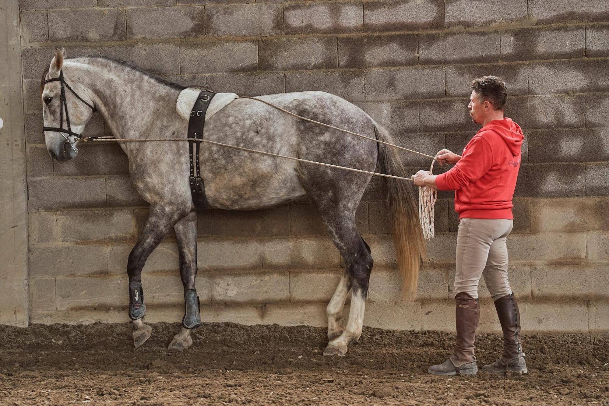 Az.Agr. Il Cavalleggero Campiglia dʼOrcia エクステリア 写真