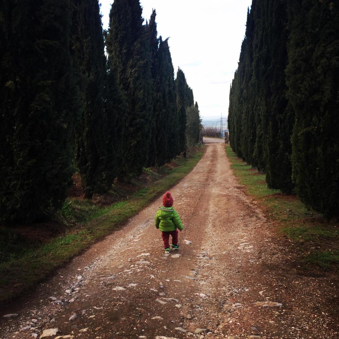 Campiglia dʼOrcia Az.Agr. Il Cavalleggeroヴィラ エクステリア 写真