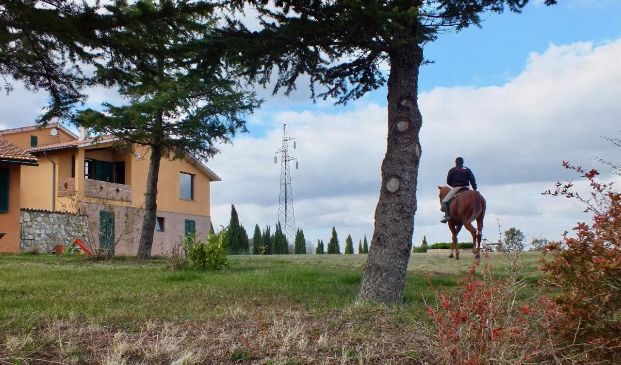 Campiglia dʼOrcia Az.Agr. Il Cavalleggeroヴィラ エクステリア 写真