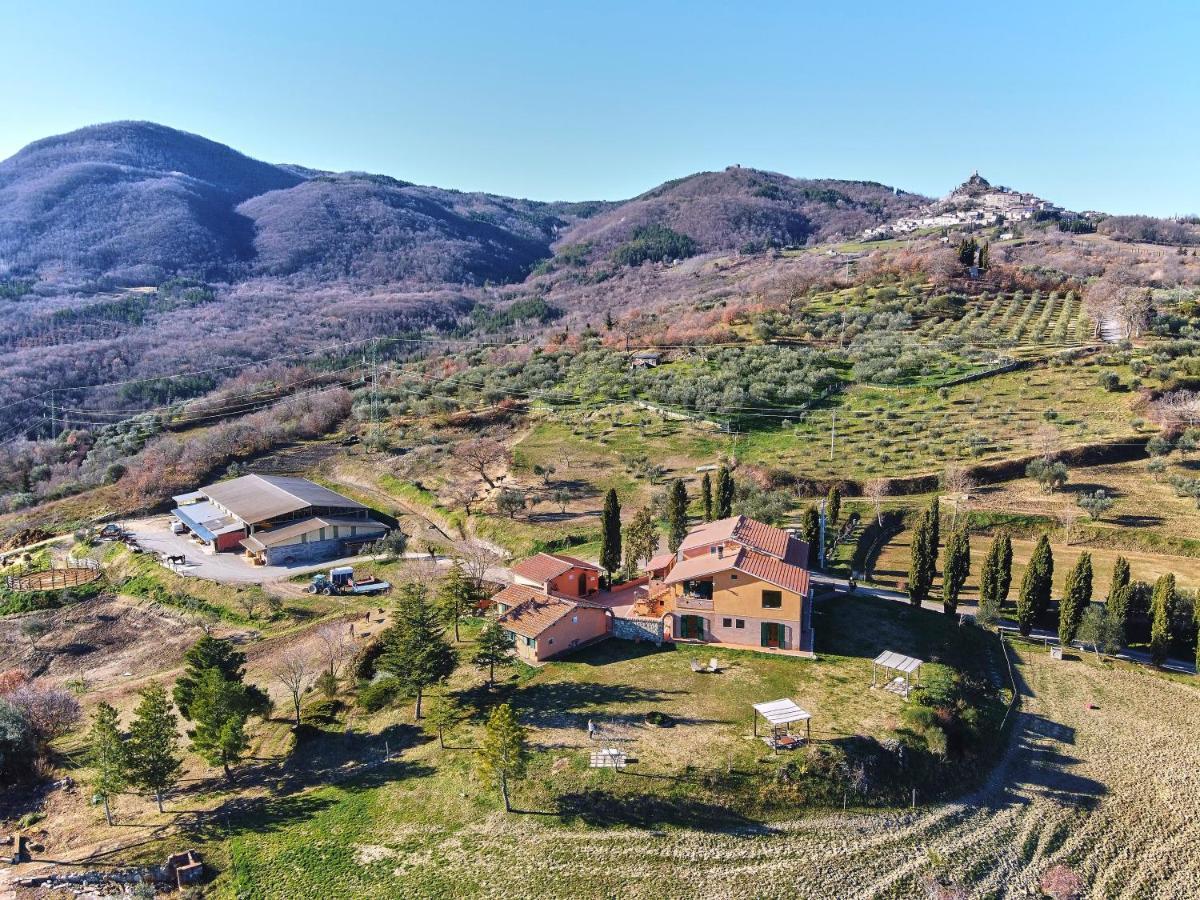 Az.Agr. Il Cavalleggero Campiglia dʼOrcia エクステリア 写真