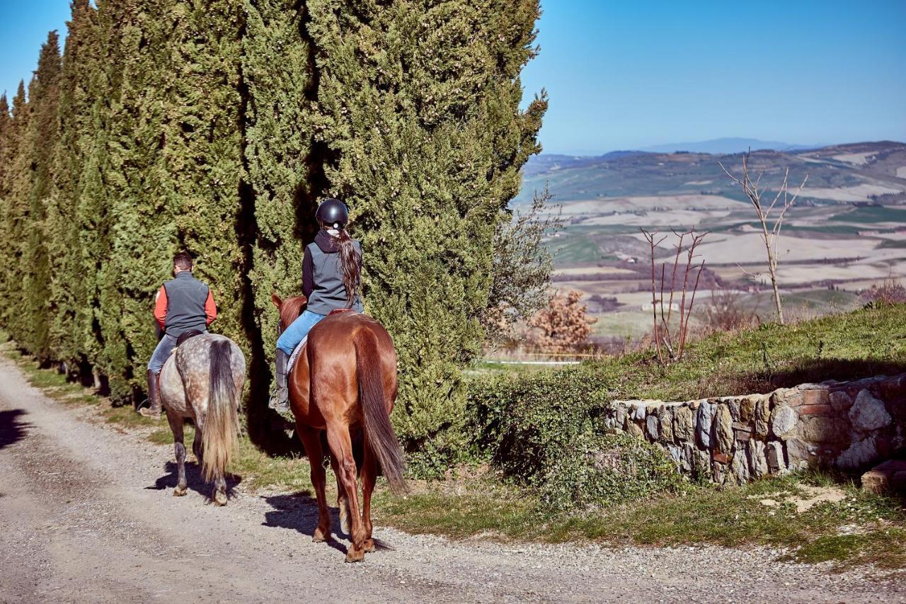 Az.Agr. Il Cavalleggero Campiglia dʼOrcia エクステリア 写真