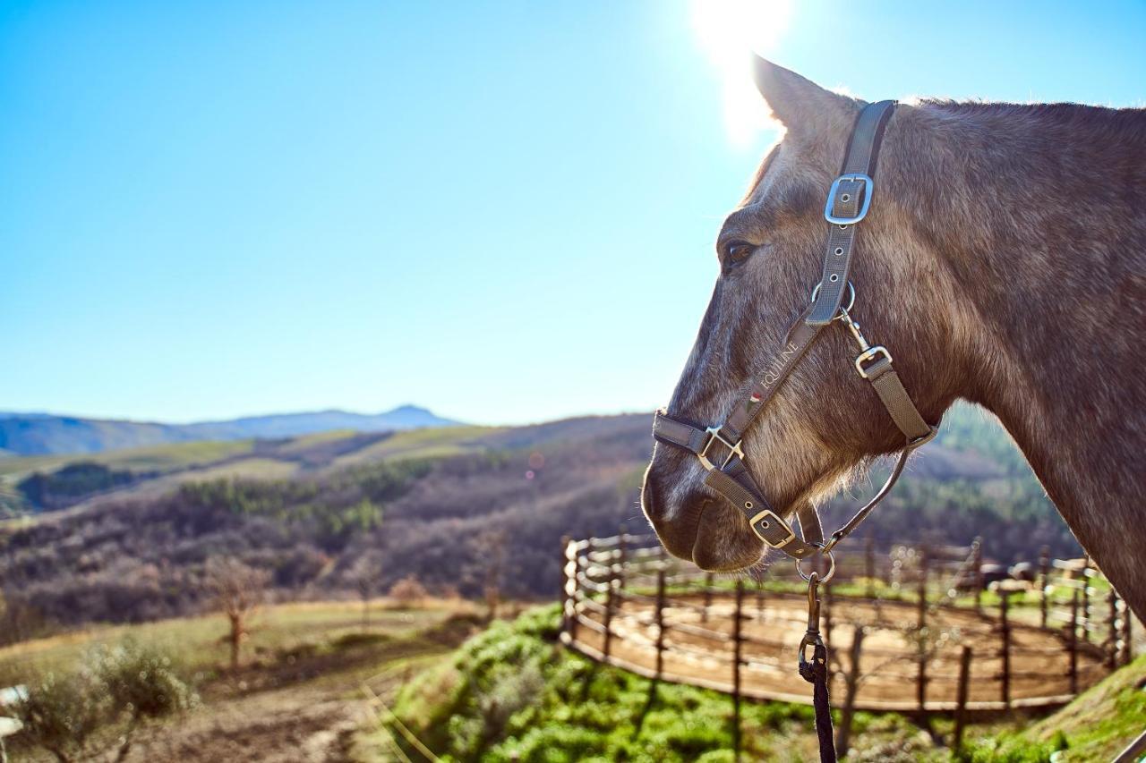 Campiglia dʼOrcia Az.Agr. Il Cavalleggeroヴィラ エクステリア 写真