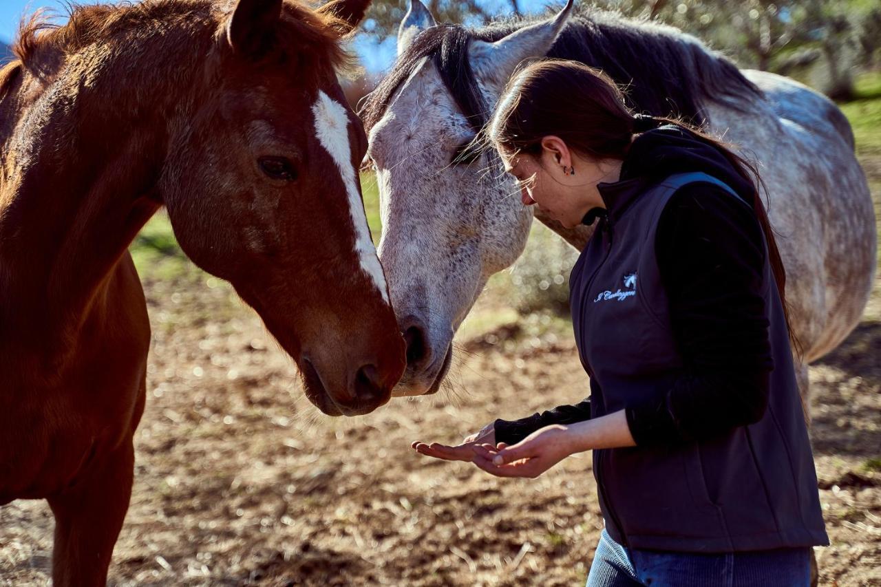 Az.Agr. Il Cavalleggero Campiglia dʼOrcia エクステリア 写真